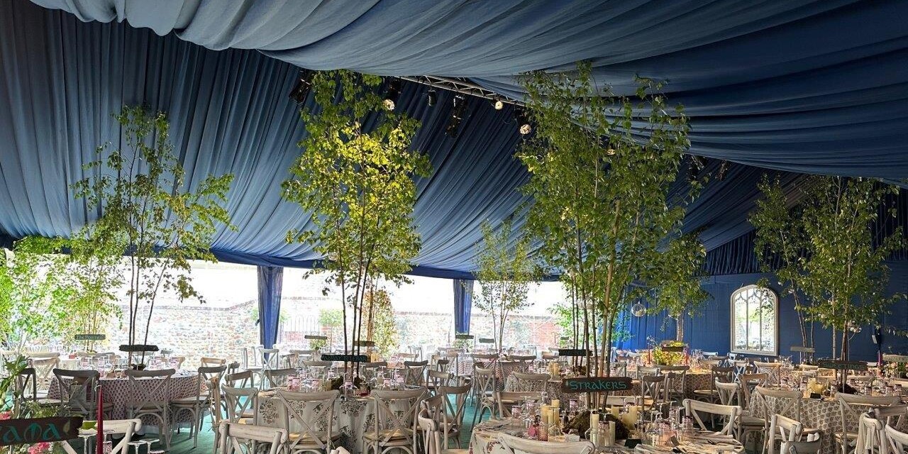 Blue Pleated Marquee Linings